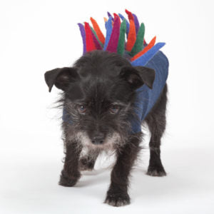 Vest - Spike Field