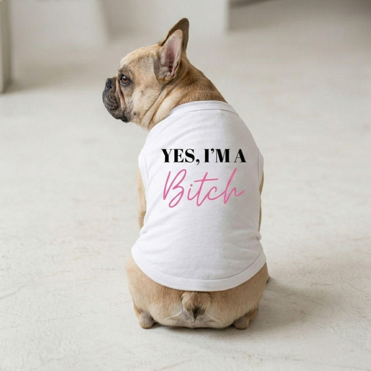 Fun T-Shirt - Yes I'm A Bitch Dog Shirt - White