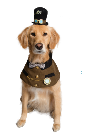 Steam Punk Hat & Collar Set