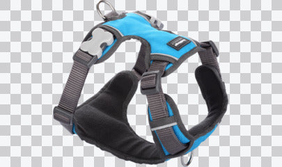 Padded Dog Harnesses
