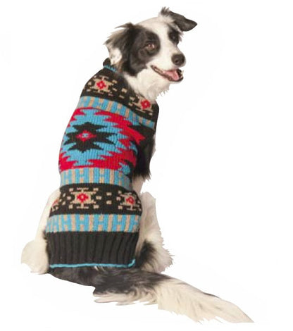 Black and white Border Collie wearing a black, red, and blue patterned dog sweater