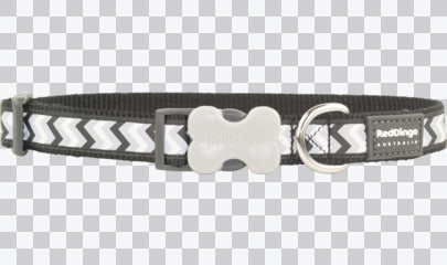 Buckle Bone Dog Collars - Reflective