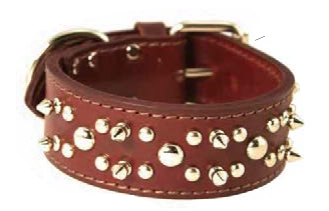 Latigo Protector™ (DF Close Spike)