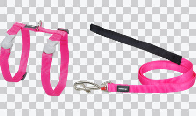 Cat Harness & Leads - Classic