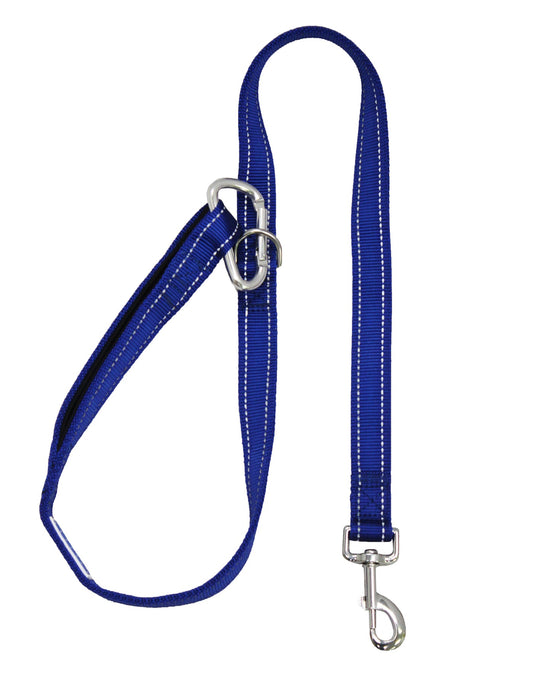 Hudson Leash